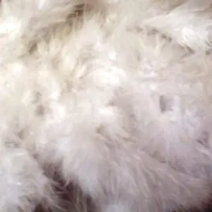 white marabou