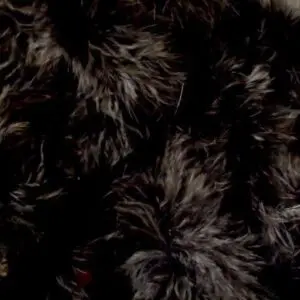 black marabou
