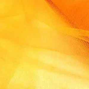 dress net code Heath