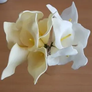 7028 Calla Lily Flower