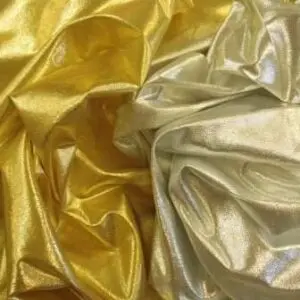 Lamé Fabric