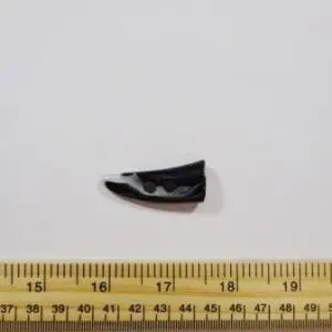 Black/white Toggle Buttons Imitation Bone