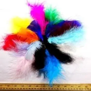 Chick Feathers