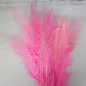 Large Ostrich Feathers Pale Pink