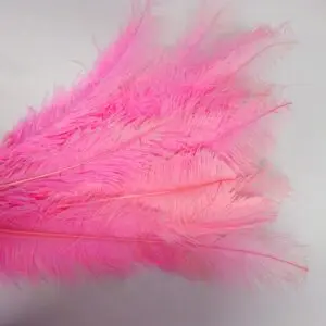 Large Ostrich Feathers Pale Pink