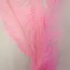 Pale Pink