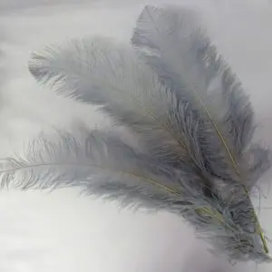 Large Ostrich Feathers Silver
