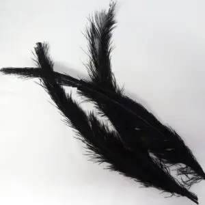 Large Ostrich Feathers Black