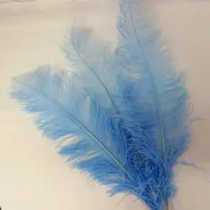 Large Ostrich Feathers Pale Blue