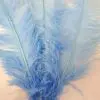 Pale Blue