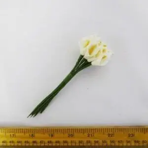 Flower 1546 Calla Lily Small White