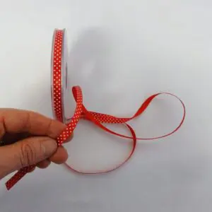 ribbon fabric land 10