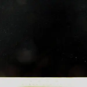 velour fabric Land 43