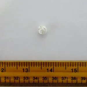 Buttons Bridal Rose Buds Sue 31 Pearl