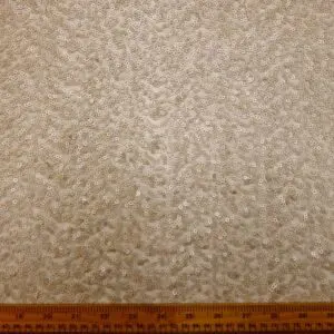 Sequin Blitz Fabric Matt Champagne Gold