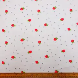strawberry fabric land 1