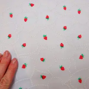 strawberry fabric land 5