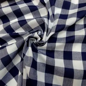 gingham fabric land 14
