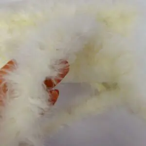 Plain Marabou Feather Trim cream