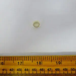 Buttons 10mm Shank Diddy Ivory Code Jam