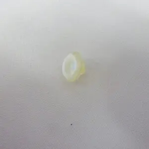 Buttons 10mm Shank Diddy Ivory Code Jam