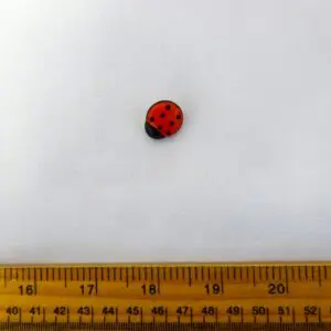 Ladybird Buttons Large Code Nat