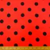 Red/Black