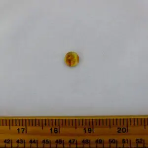 Tiger Eye Buttons 10mm Code Jam