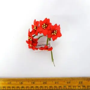Poinsettia Flower F0003 Bunch Red