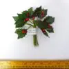 Holly Leaves and Berries F0005