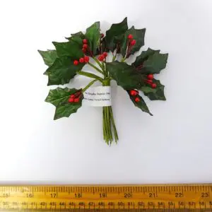 Holly Leaves and Berries F0005
