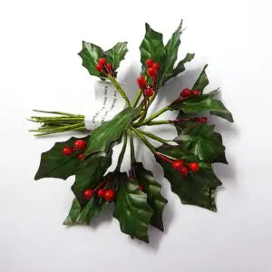 Holly Leaves and Berries F0005