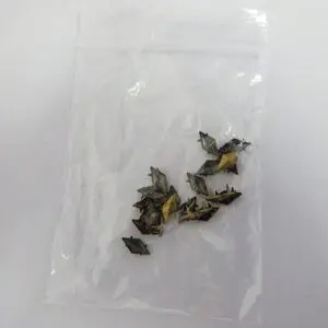 Hand Press Studs Gold Diamond