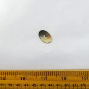 Buttons Noggin Silver Code Jam