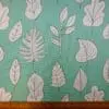 Spearmint