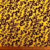 Yellow/Black