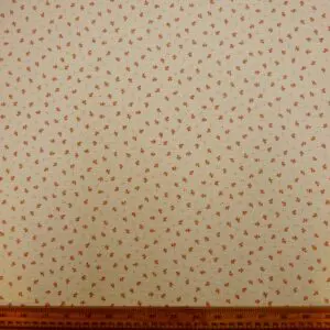 Cotton Fabric Double Gauze Floral Parsnip Patch Cream/Rust