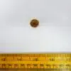 Button 14mm Shanked Gold With Red Diamond
