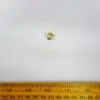 Button 14mm 2 Hole English Light Gold