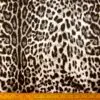 Scuba Jersey Fabric Animal Print Prairie Dog Black Grey