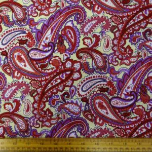 Paisley Patterned Fabric