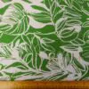 Emerald/Ivory