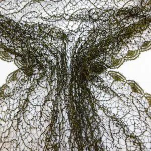 Lace Fabric Spider Mesh Black/Gold