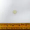 Buttons 15mm Clear Glitter Edged 2 Hole Flat Code Jam