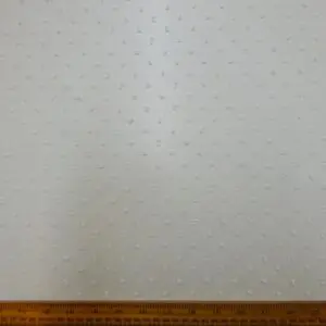 Organza Fabric 3D Dobby Spot Ivory