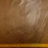 Chocolate Brown