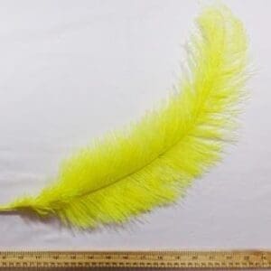Yellow Feathers Large Ostrich