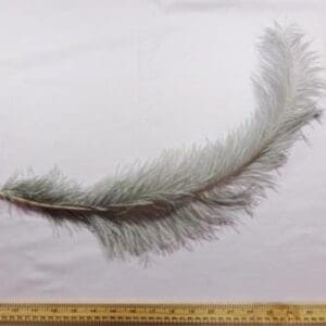 Silver Grey Feathers Large Ostrich