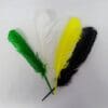 Indian Feathers