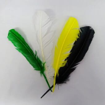 Indian Feathers